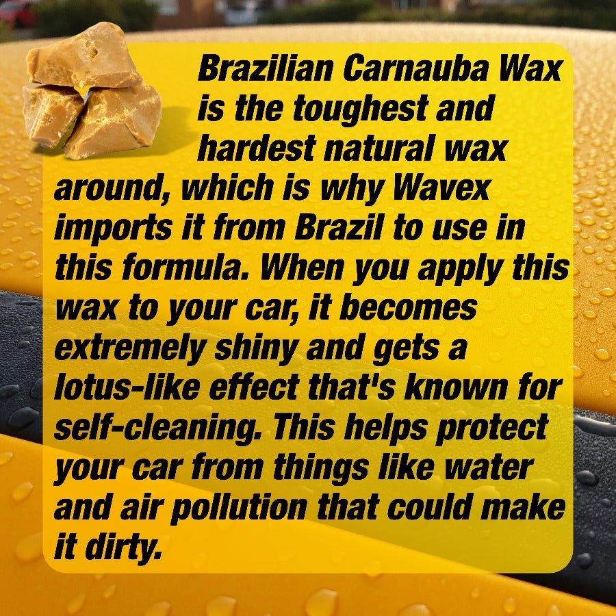 CARNAUBA WAX 100ML - Wavex - CPSL100